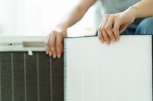 Female hands remove a filter from an air purifier.